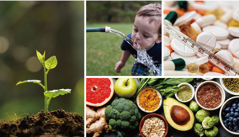 全自動石墨消解儀應用領域 全自動石墨消解儀應用領域