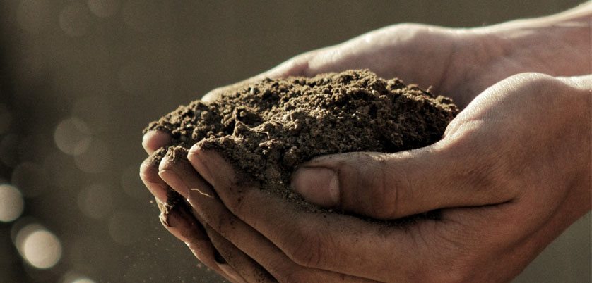 G8全自動石墨消解儀對土壤中Cd、Cr、Cu、Pb、Ni、Zn金屬消解方案