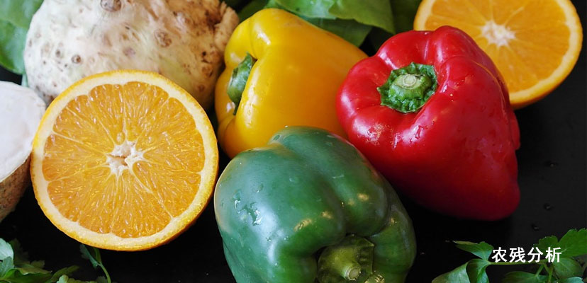 N63多功能濃縮氮吹儀農殘分析 N63多功能濃縮氮吹儀農殘分析