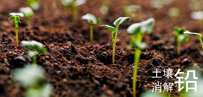 土壤中鉛元素的測定用D4智能石墨消解儀四酸消解法完成 土壤中鉛元素的測定用D4智能石墨消解儀四酸消解法完成