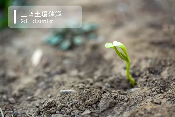 土壤重金屬元素濕法消解 土壤重金屬元素濕法消解